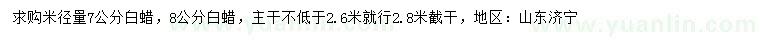 求购米径量7、8公分白蜡