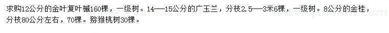 求购金叶复叶槭、广玉兰、金桂等