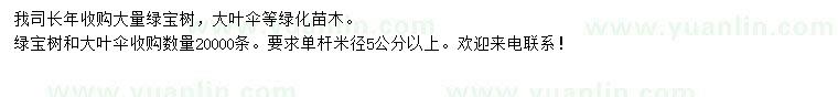 求购单杆米径5公分以上绿宝树、大叶伞