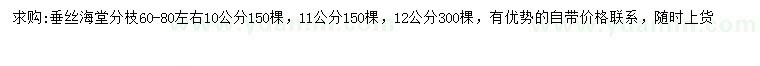 求购10、11、12公分垂丝海堂