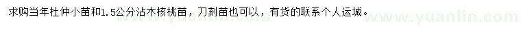 求购杜仲苗、1.5公分沾木核桃苗