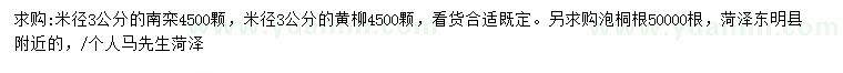 求购南栾、黄柳、泡桐