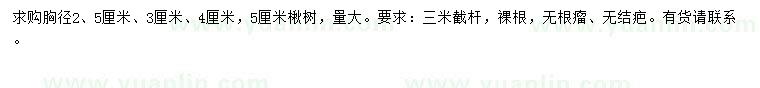 求购胸径2.5、3、4、5公分楸树