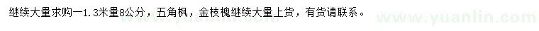 求购1.3米量8公分五角枫、黄金槐