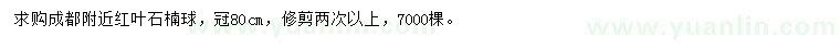 求购冠幅80公分红叶石楠球