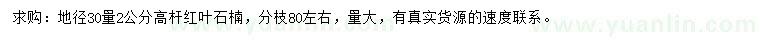 求购30量2公分高杆红叶石楠