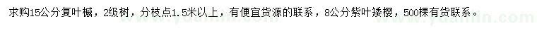 求购15公分复叶槭、8公分紫叶矮樱