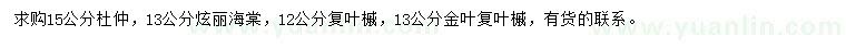 求购杜仲、炫丽海棠、复叶槭等