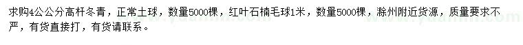 求购4公公分高杆冬青、1米红叶石楠球