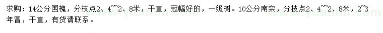求购14公分国槐、10公分南栾
