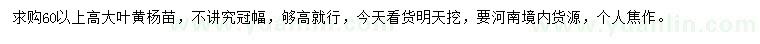 求购高60公分以上大叶黄杨苗