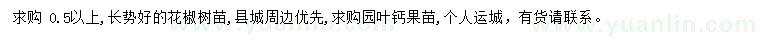 求购花椒苗、园叶钙果苗