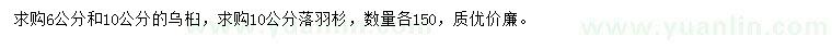 求购6和10公分乌桕、10公分落羽杉