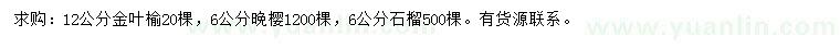 求购金叶榆、晚樱、石榴