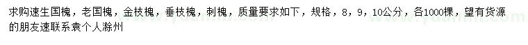 求购速生国槐、老国槐、金枝槐等