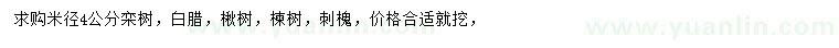 求购米径4公分栾树、白腊、楸树等