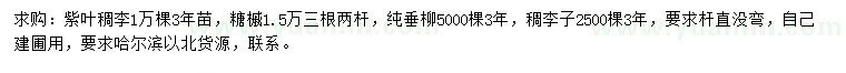 求购紫叶稠李、糖槭、垂柳等