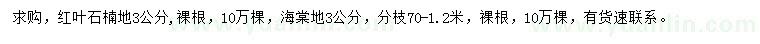 求购地径3公分红叶石楠、海棠