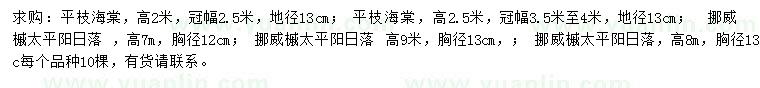 求购高2、2.5米平枝海棠、高7、8、9米挪威槭