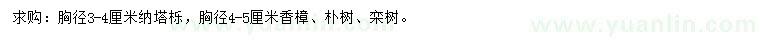 求购娜塔栎、香樟、朴树等