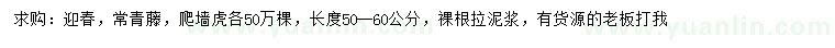 求购迎春、常青藤、爬墙虎