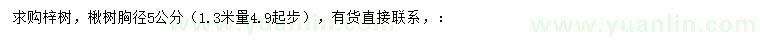 求购胸径5公分梓树、楸树