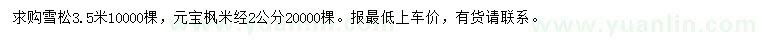 求购3.5米雪松、米径2公分元宝枫
