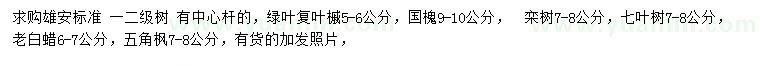 求购绿叶复叶槭、国槐、栾树等