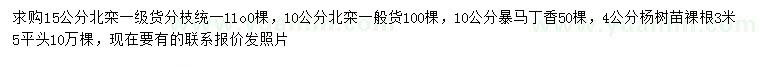 求购北栾、暴马丁香、杨树苗