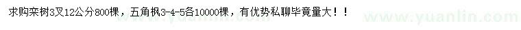 求购12公分栾树、3-4-5公分五角枫