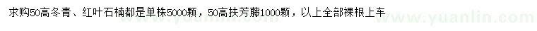 求购高50公分冬青、红叶石楠、扶芳藤