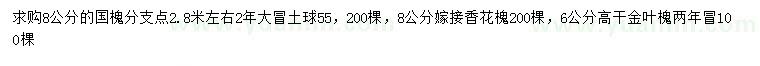 求购国槐、香花槐、金叶槐