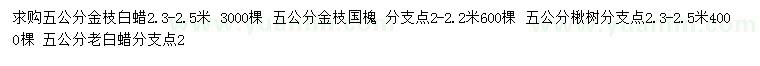 求购金枝白蜡、金枝国槐、楸树等