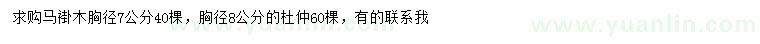 求购胸径7公分马褂木、8公分杜仲