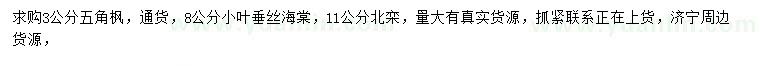 求购五角枫、垂丝海棠、北栾