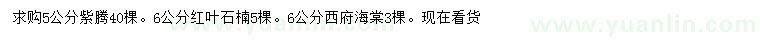 求购紫藤、红叶石楠、西府海棠