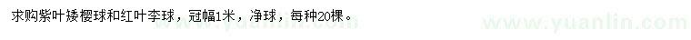 求购冠幅1米紫叶矮樱球、红叶李球