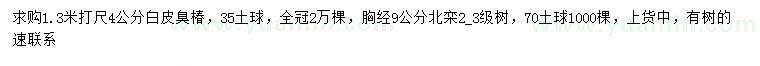 求购4公分白皮臭椿、胸径9公分北栾