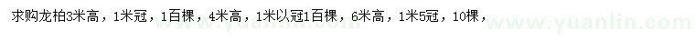 求购高3、4、6米龙柏