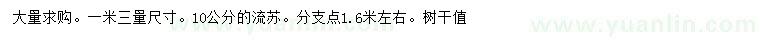 求购1.3米量10公分流苏