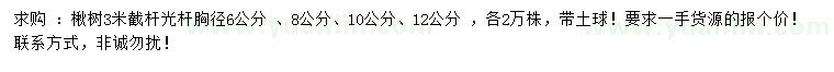 求购胸径6 、8、10、12公分楸树