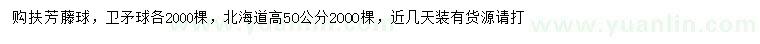 求购扶芳藤球、卫矛球、北海道黄杨