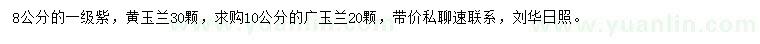 求购8公分黄玉兰、10公分广玉兰