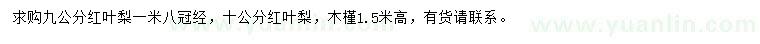 求购9、10公分红叶梨、高1.5米木槿