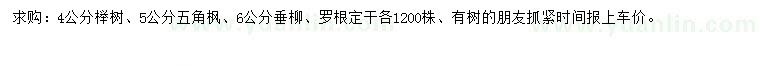 求购榉树、五角枫、垂柳