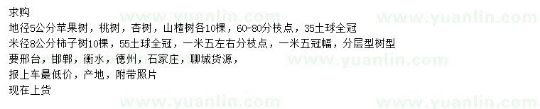 求购地径5公分苹果树、米径8公分柿子树