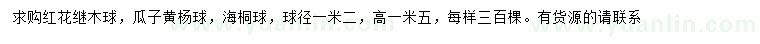 求购红花继木球、瓜子黄杨球、海桐球