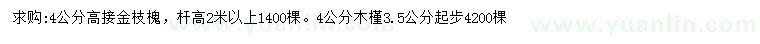 求购4公分高接金枝槐、木槿