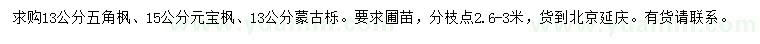 求购五角枫、元宝枫、蒙古栎