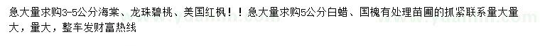 求购海棠、龙珠碧桃、美国红枫等